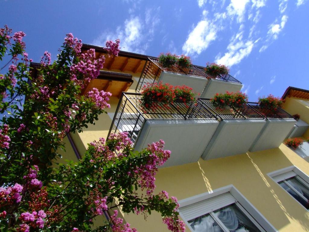 Hotel Daniela Levico Terme Exterior photo